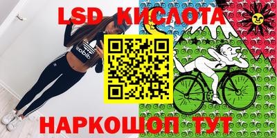 гашик Гусь-Хрустальный