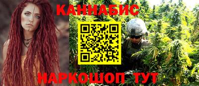 бошки Гатчина