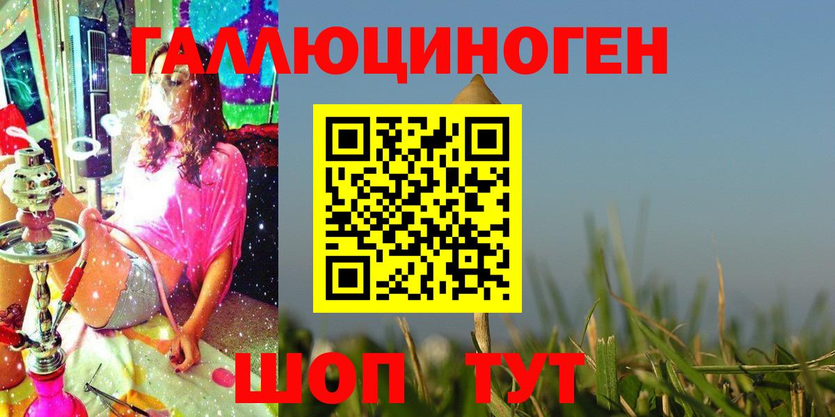 Галлюциногенные грибы Magic Shrooms  Псилоцибиновые грибы Magic Shrooms  Вход с VPN  Фрязино 