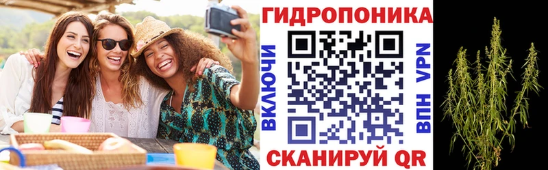 купить   Фрязино  МАРИХУАНА план 